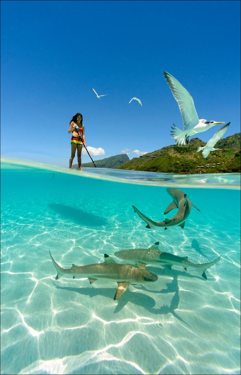 Подборка фотографий