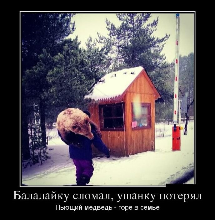 Подборка фотографий