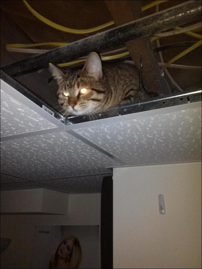 Подборка фотографий