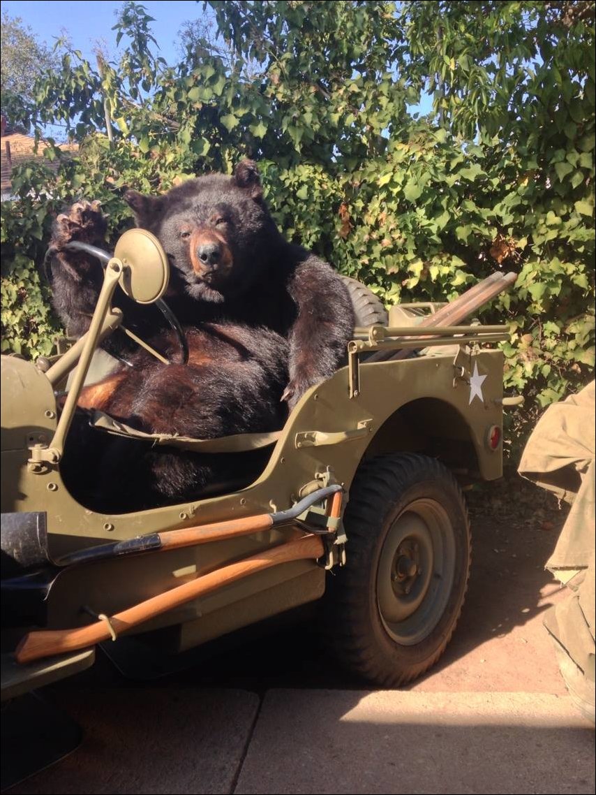 Подборка фотографий