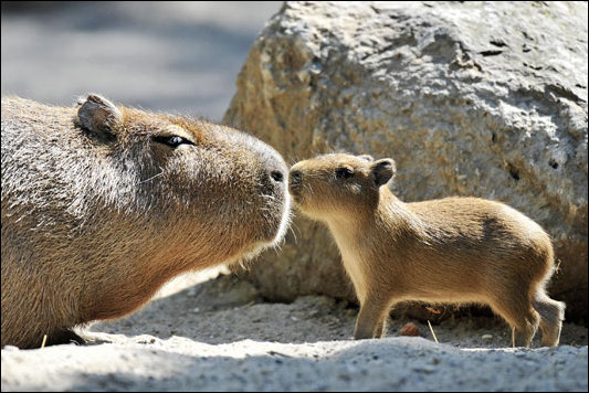 Подборка фотографий