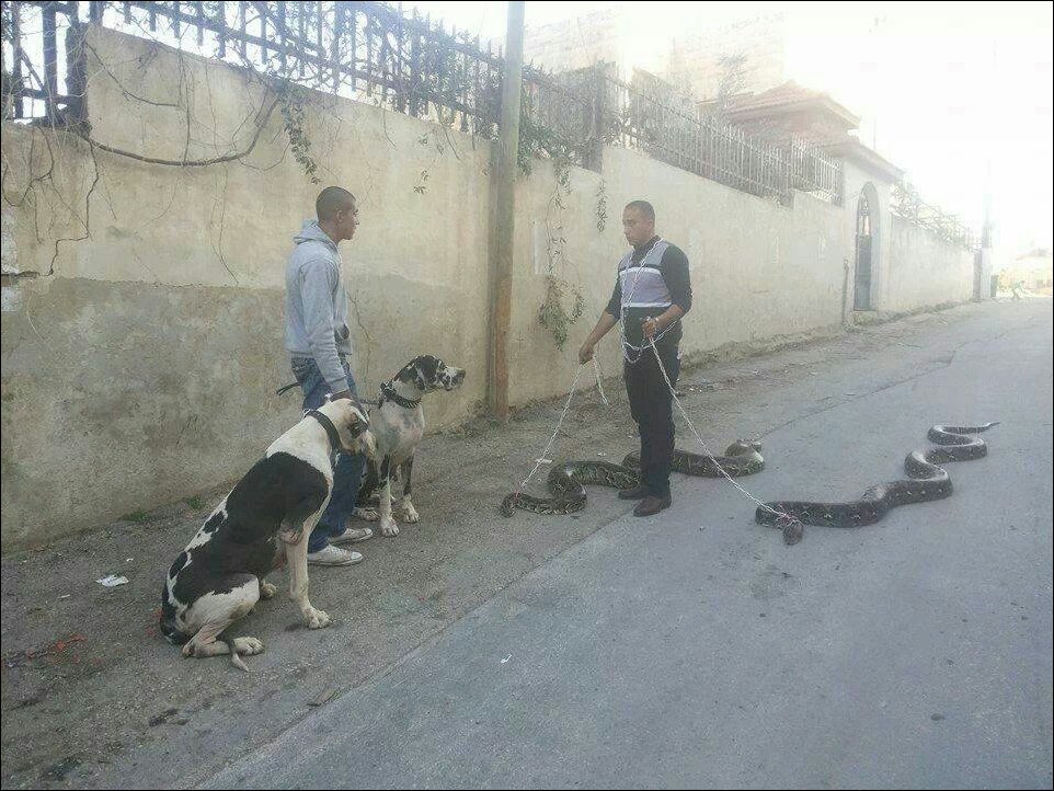 Подборка фотографий