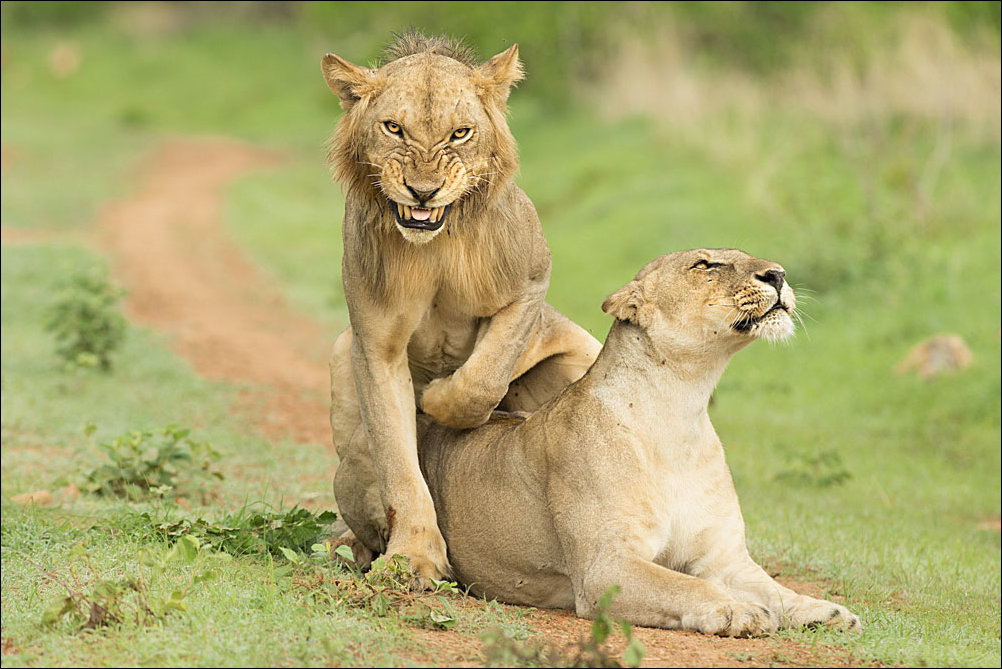 Подборка фотографий