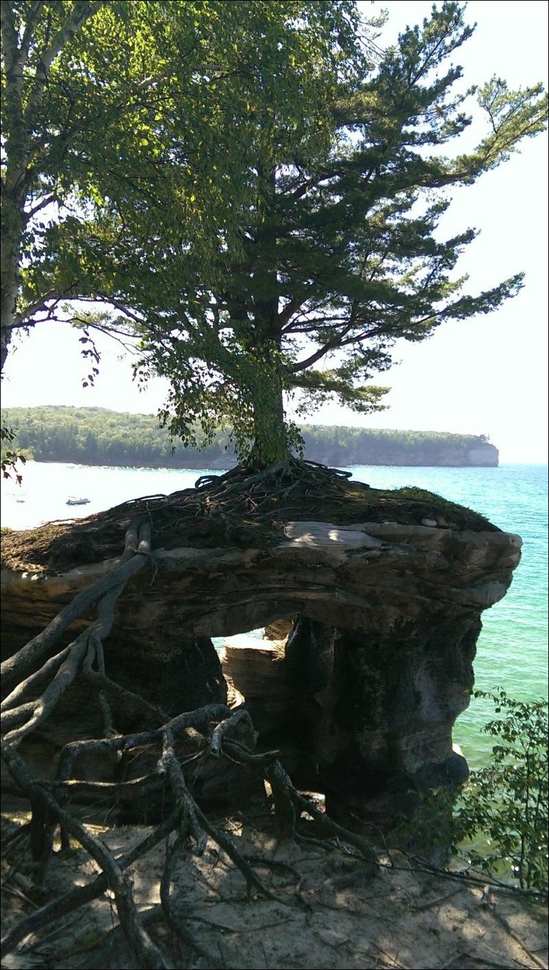 Подборка фотографий