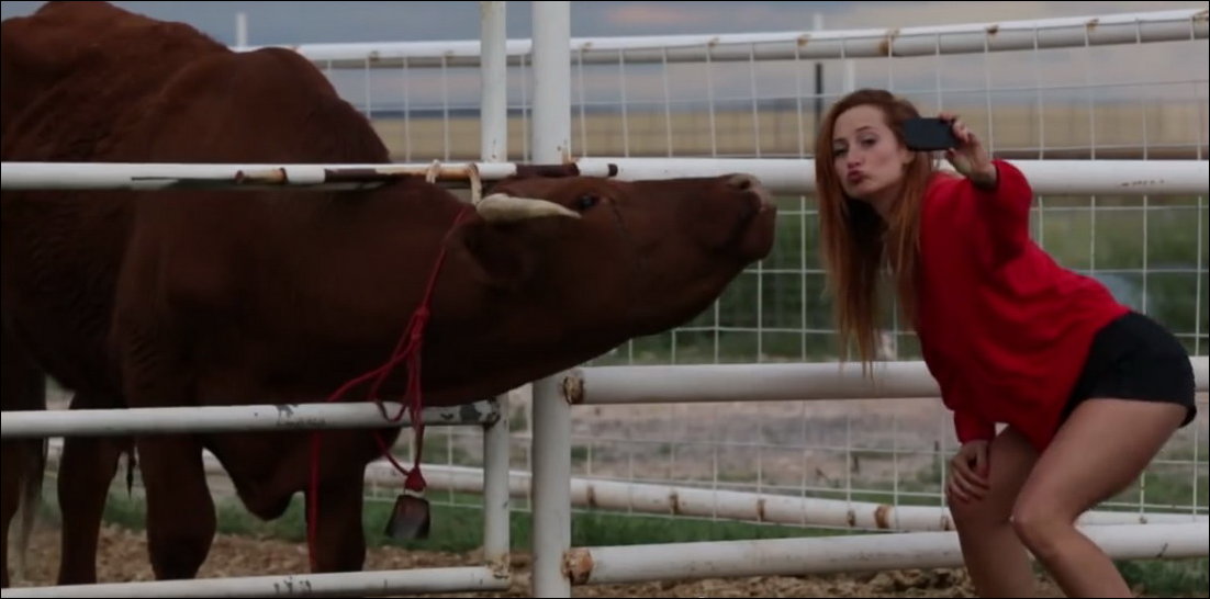 Подборка фотографий