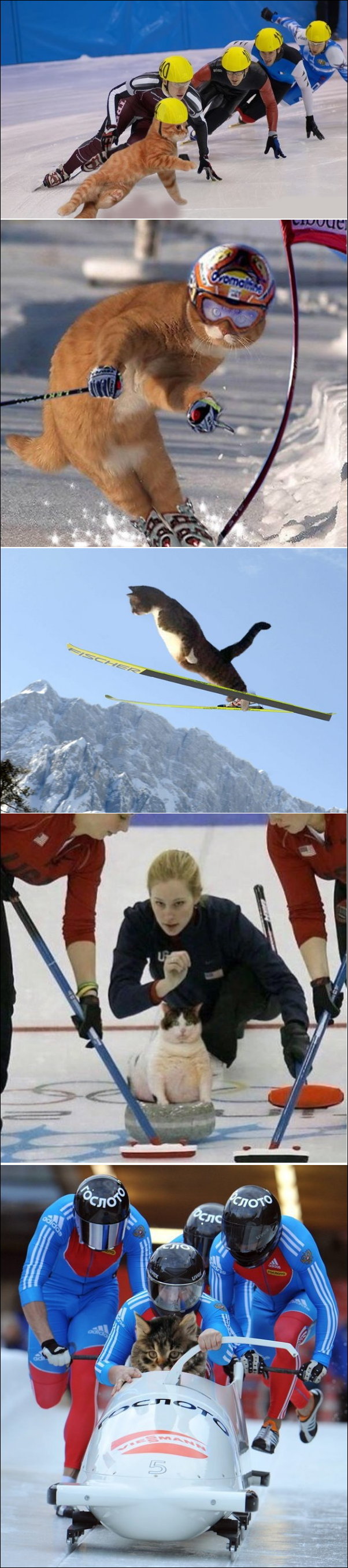 Подборка фотографий