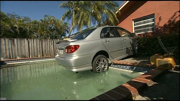 Подборка фотографий