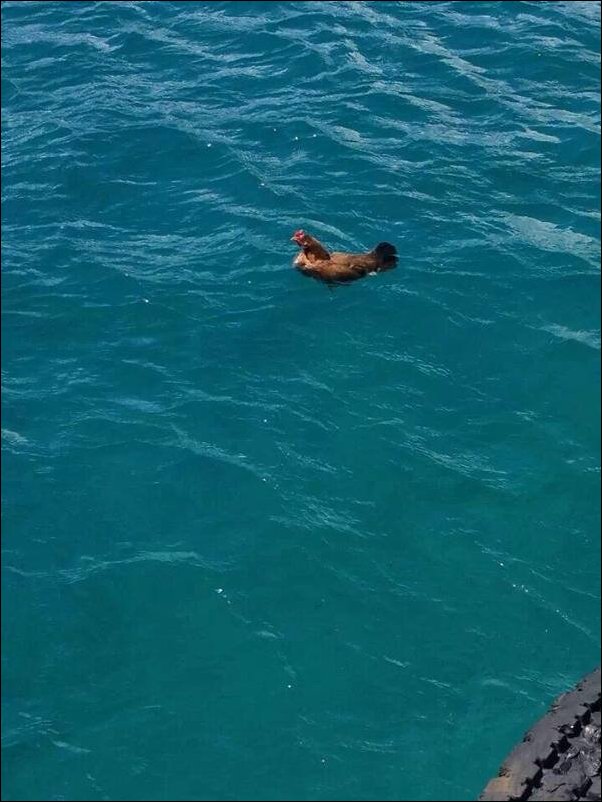 Подборка фотографий