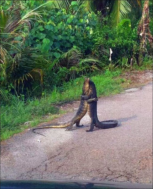 Подборка фотографий