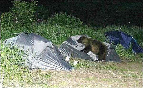 Подборка фотографий