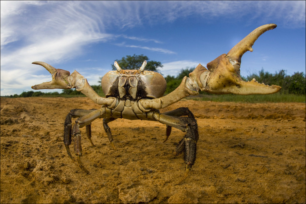 Фото приколы