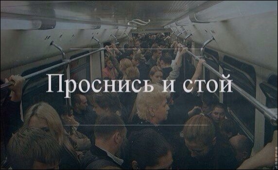 Фото приколы