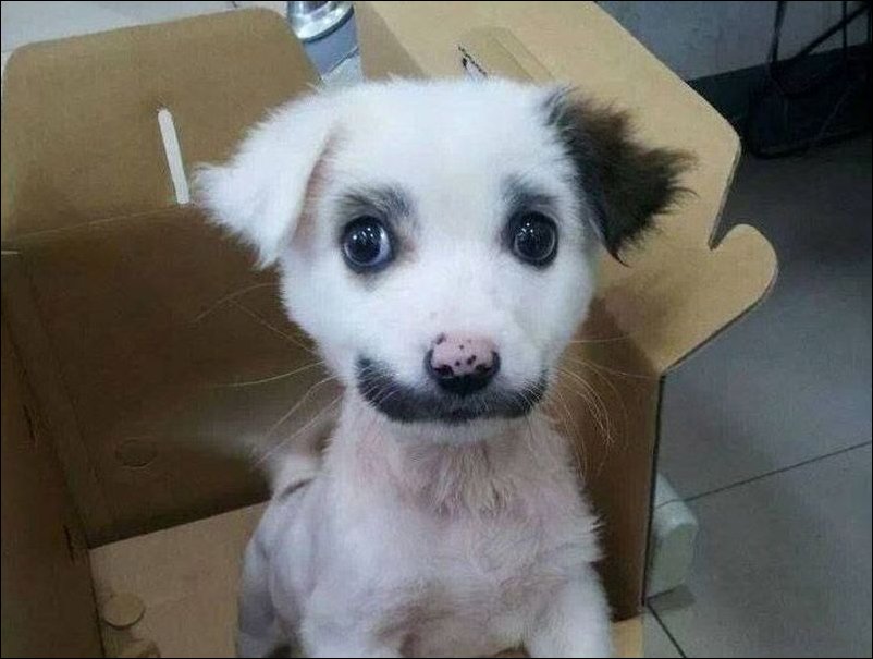 Фото приколы