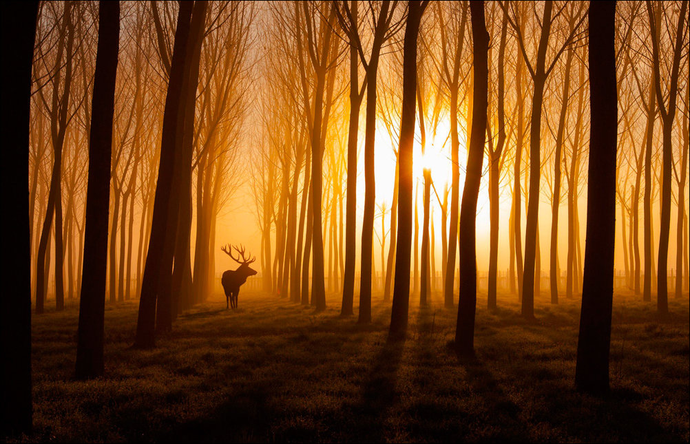 Фото приколы