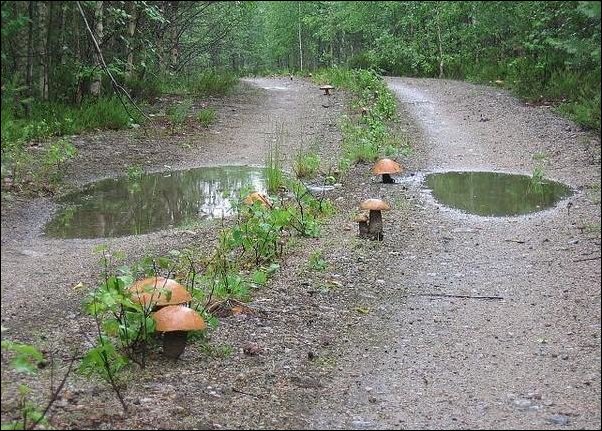 Фото приколы