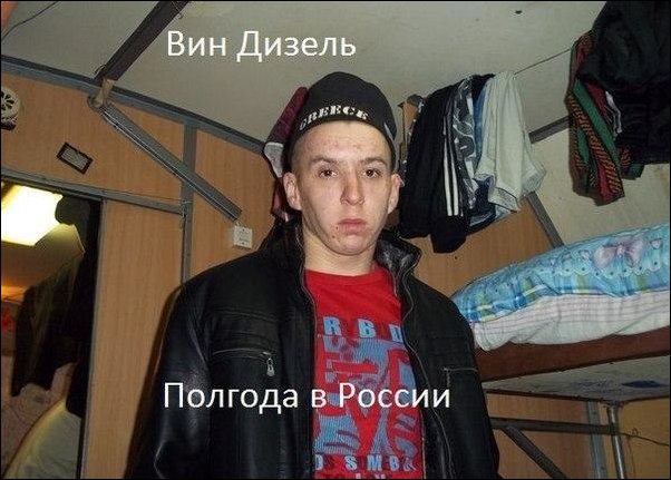 Фото приколы