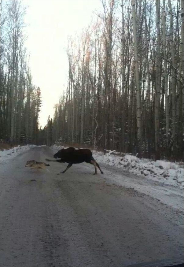 Фото приколы