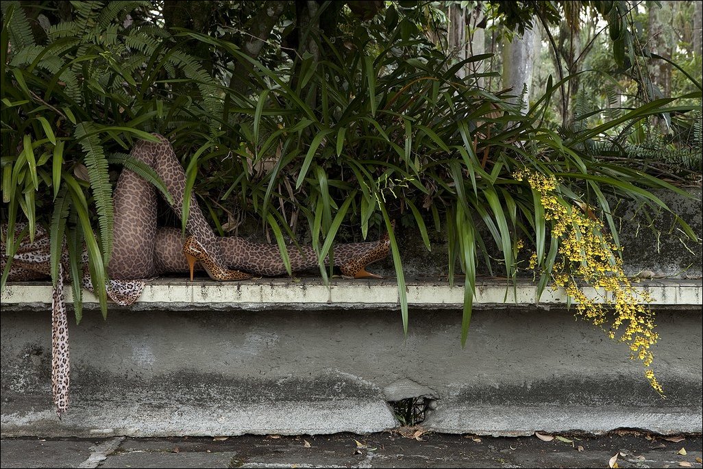 Фото приколы