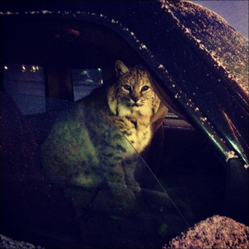 Фото приколы