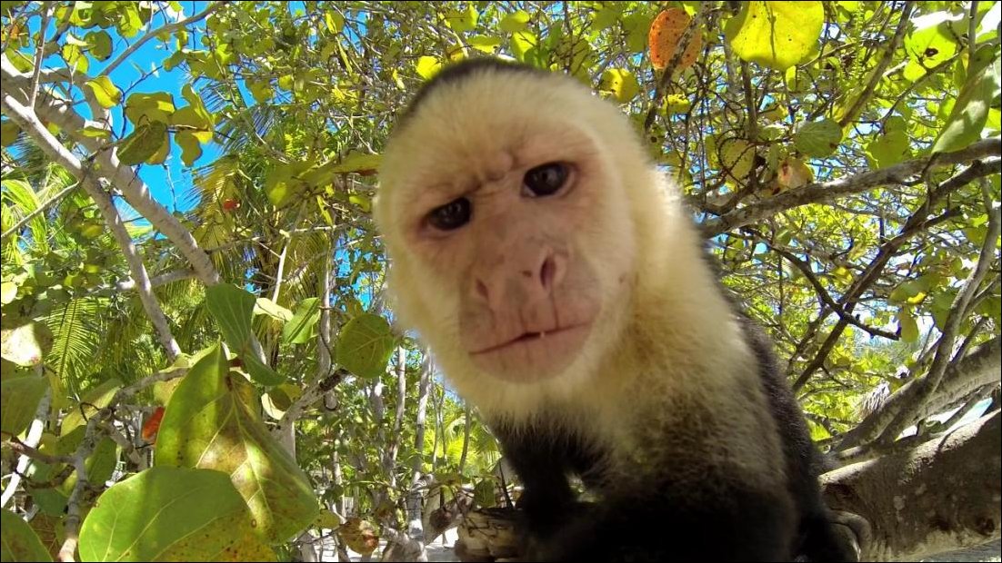 Фото приколы