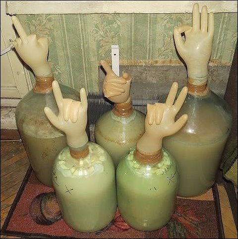 Фото приколы