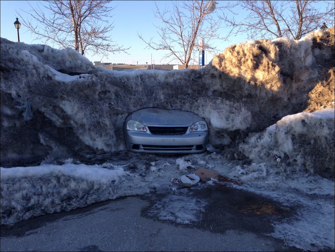 Фото приколы