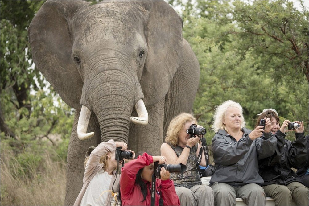 Фото приколы