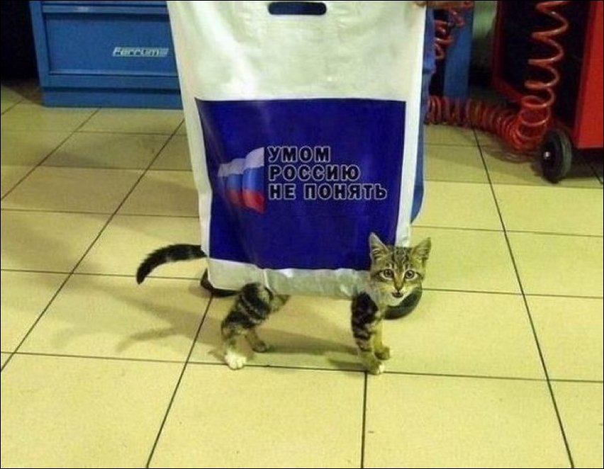 Фото приколы