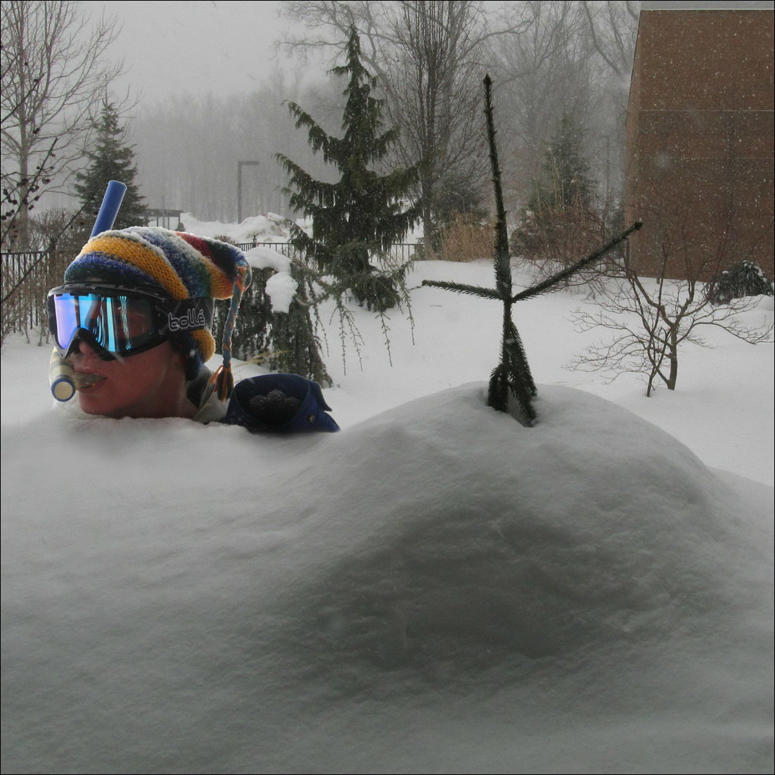 Фото приколы