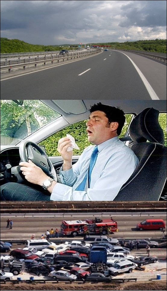 Фото приколы