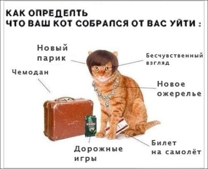 Фото приколы