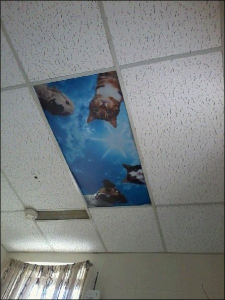 Фото приколы