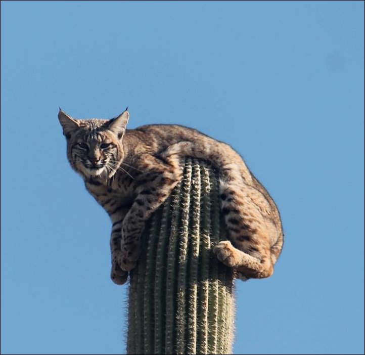 Фото приколы