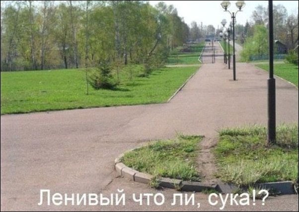 Российские фото приколы