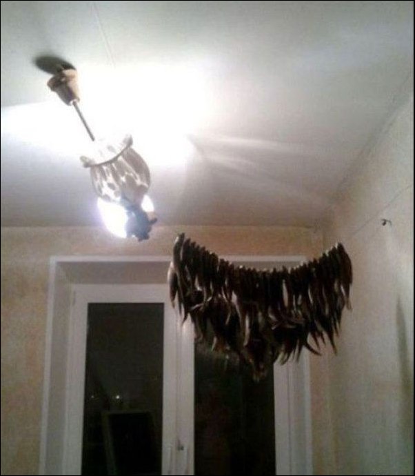 Российские фото приколы