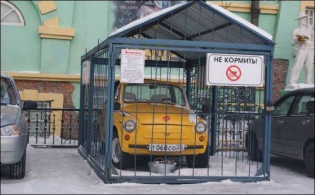 Российские фото приколы