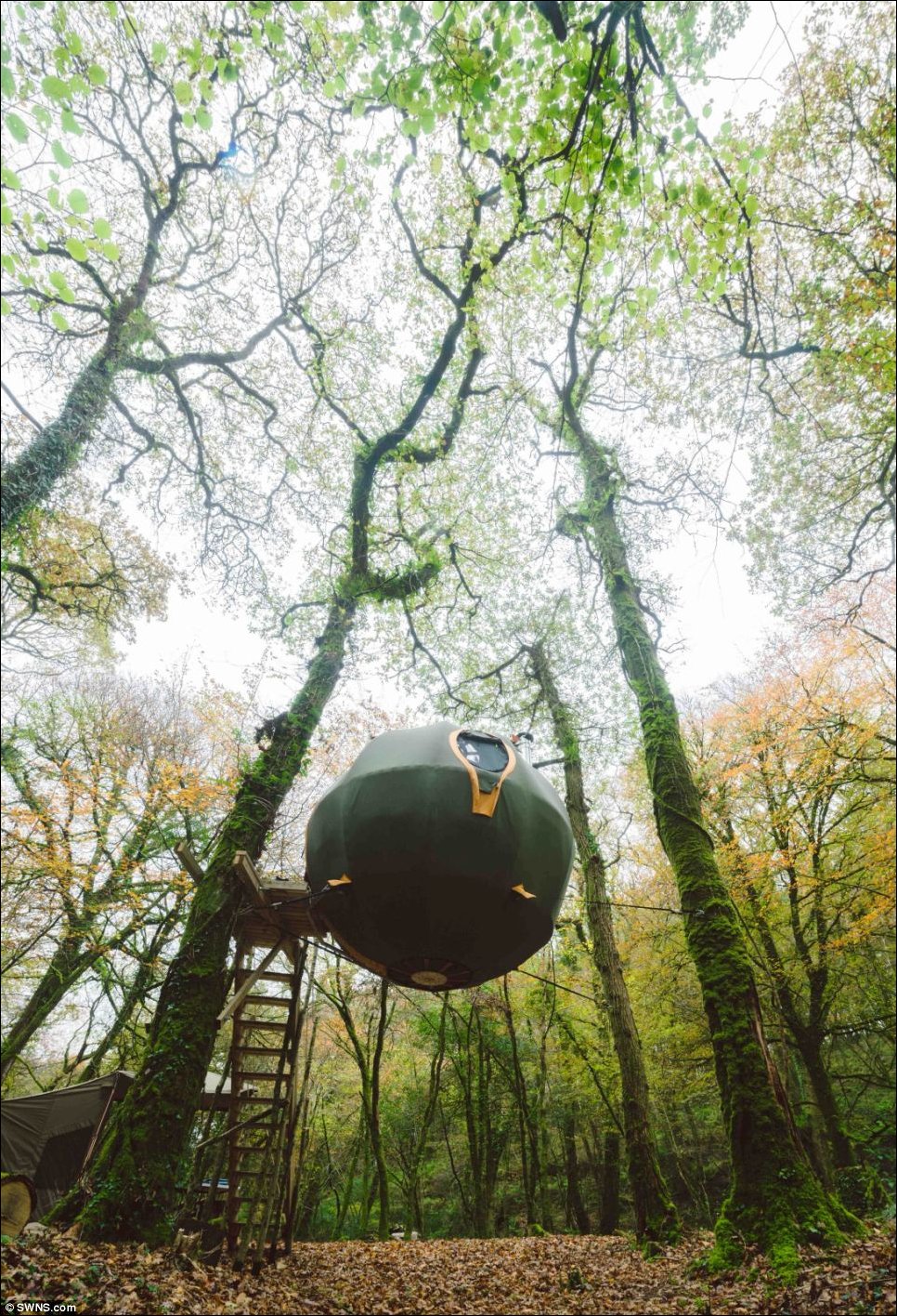 Шар висящий в воздухе. Подвесная палатка на дереве. Палатка для подвешивания на дерево. Навесная палатка на дерево. Палатка шар на дерево.