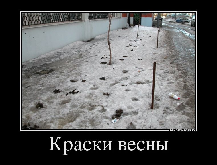 Демотиваторы