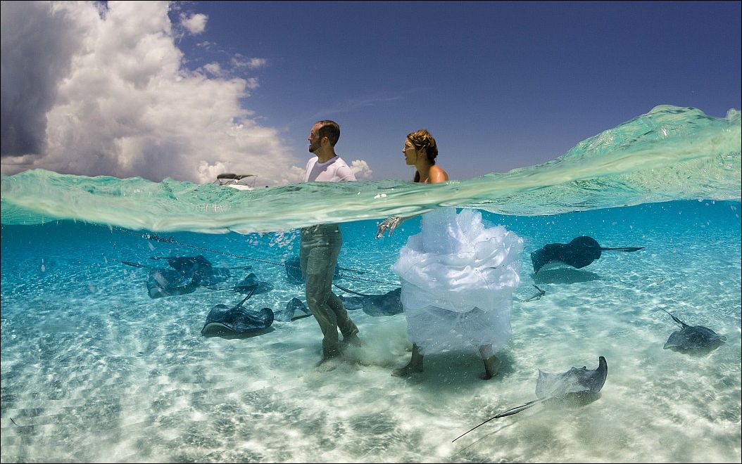 фото приколы