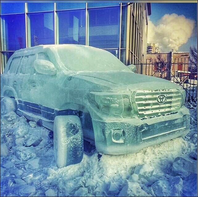 фото приколы