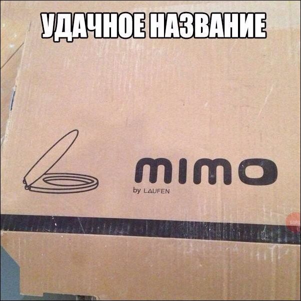 фото приколы