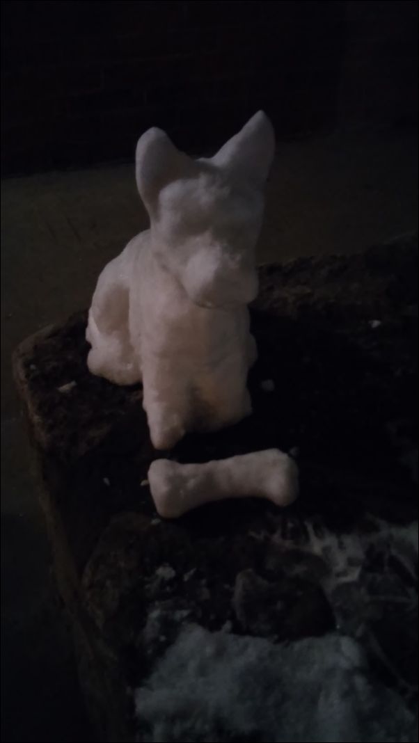 фото приколы