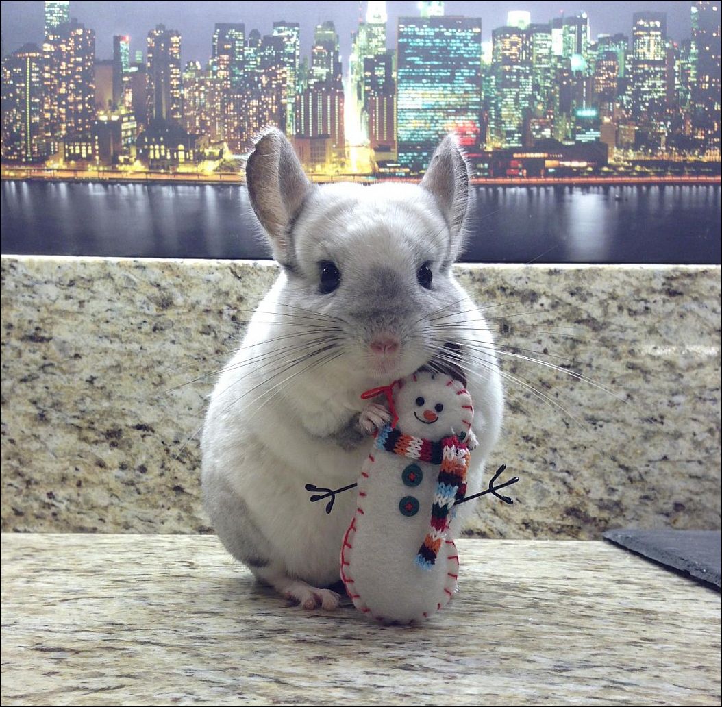 фото приколы