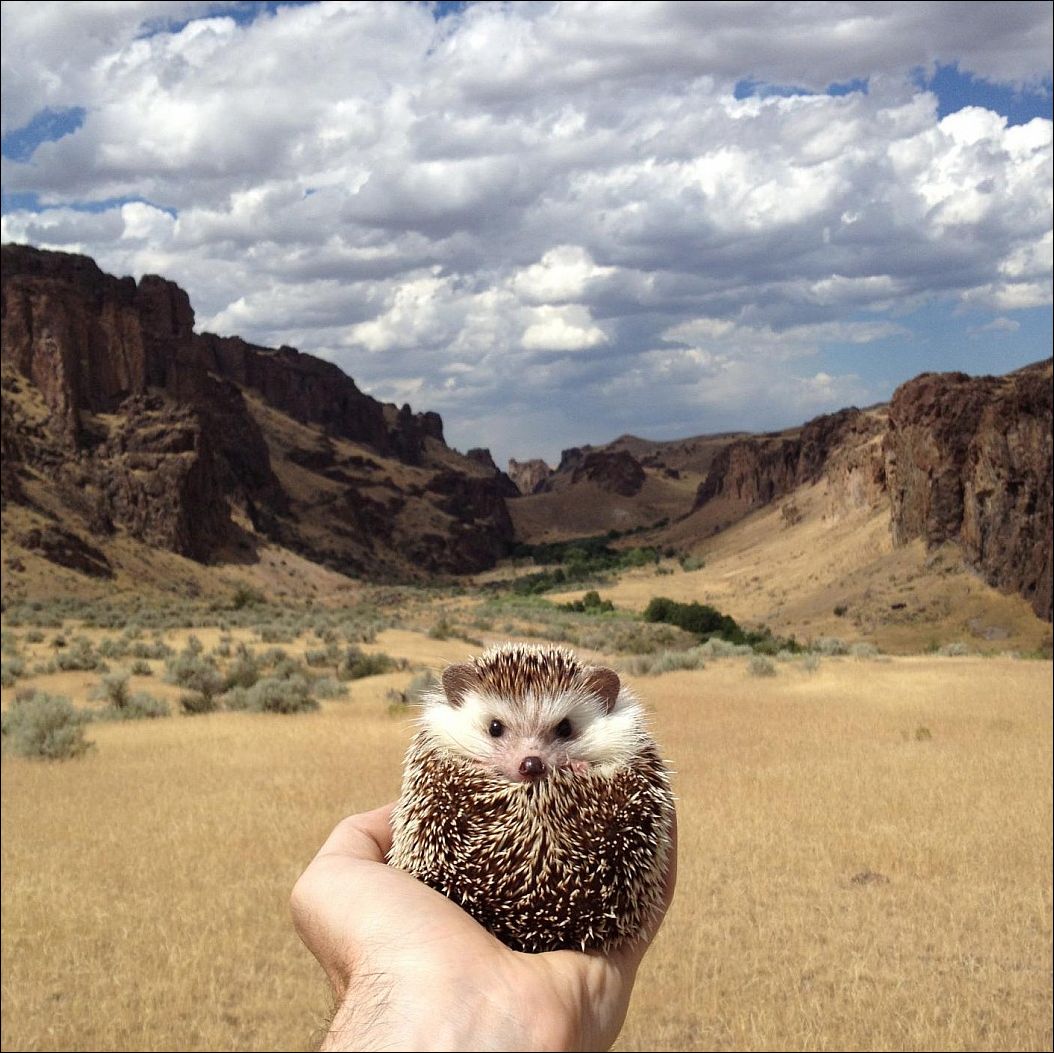 фото приколы