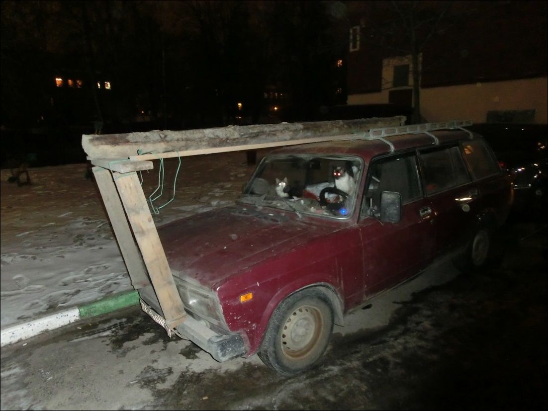 фото приколы