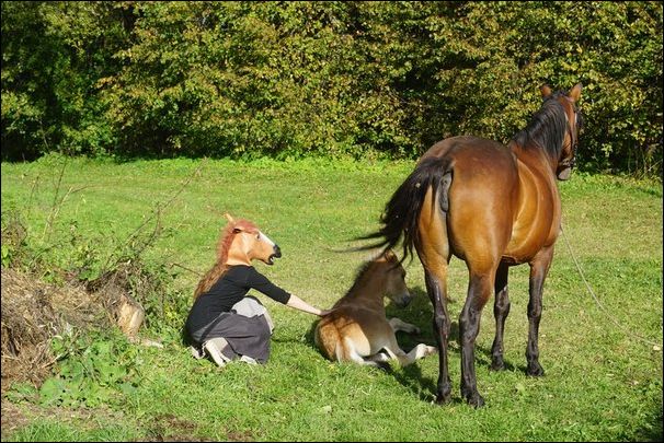 фото приколы