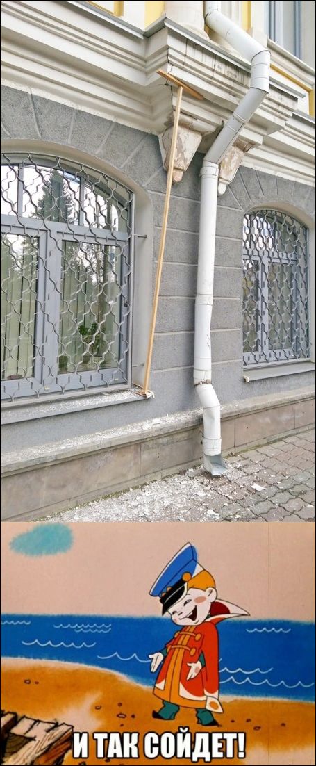 фото приколы