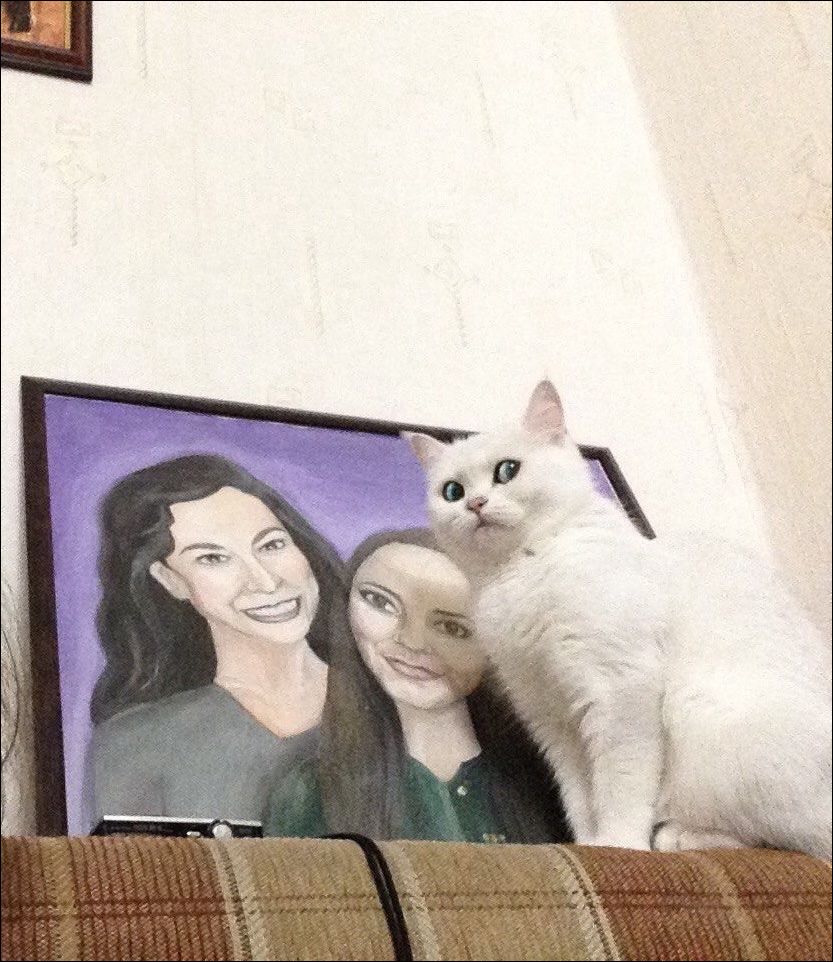 фото приколы