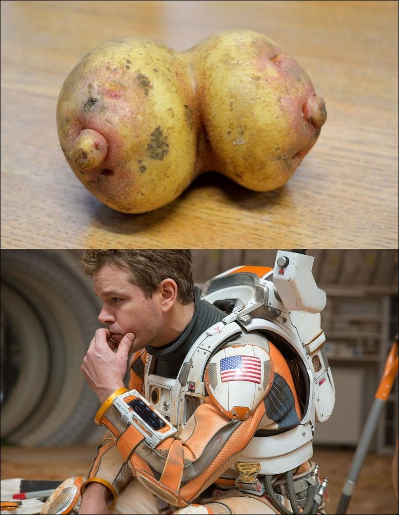 фото приколы