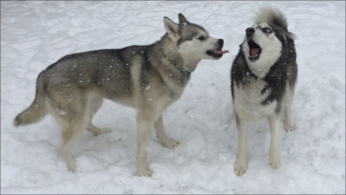 фото приколы